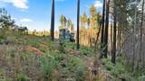 0 Path in The Woods - Photo 10