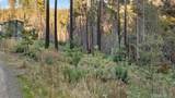 0 Path in The Woods - Photo 8