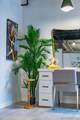 1298 Prospect Street - Photo 33