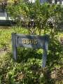3605 Hidden Lane - Photo 2