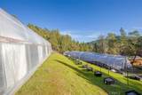 25996 String Creek Road - Photo 30
