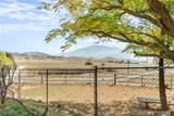 11055 Sunset - Photo 45