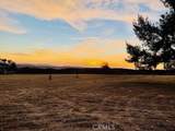 11055 Sunset - Photo 57
