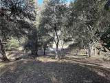 0 High Cliff Trail - Photo 30