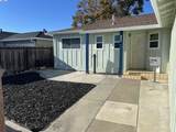 2459 Jamaica Way - Photo 45