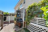 2149 Calle Serena - Photo 6