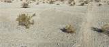 0 Twentynine Palms 0613-131-21-0000 - Photo 1