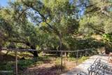 1951 Topanga Canyon Boulevard - Photo 26