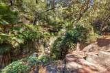 1951 Topanga Canyon Boulevard - Photo 29