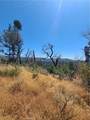 0 Hog Ranch Road - Photo 4