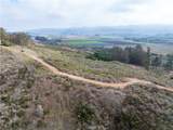 1987 Turri Road - Photo 16