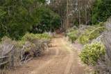 1987 Turri Road - Photo 6