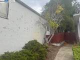 2436 Potomac - Photo 44