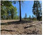 0 Pine Mountain Drive - Photo 16