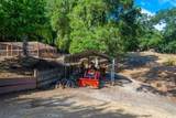 9350 Santa Cruz Rd - Photo 37