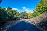 9350 Santa Cruz Rd - Photo 43