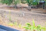 9350 Santa Cruz Rd - Photo 47