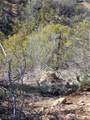 0 Taron Trail - Photo 8