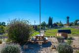 5645 Prancing Deer - Photo 13
