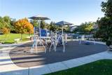 11506 Cuervo Way - Photo 39