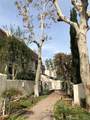 22219 1/2 Erwin Street - Photo 5