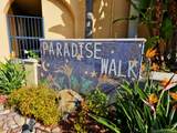 671 Paradise Way - Photo 1