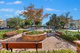31163 Lavender Court - Photo 5