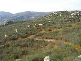 0 Old Wagon Road - Photo 6