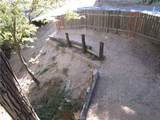493 Wylerhorn Drive - Photo 50
