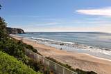 23711 Colima Bay - Photo 38
