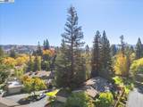 441 Sycamore Hill Dr - Photo 38