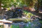 1003 Laurel Glen - Photo 59