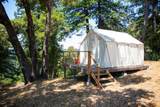 1003 Laurel Glen - Photo 65