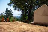 1003 Laurel Glen - Photo 68