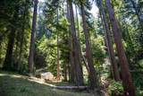 1003 Laurel Glen - Photo 72