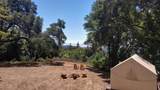 1003 Laurel Glen - Photo 75