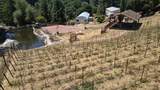 1003 Laurel Glen - Photo 9