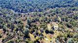 4658 Little Bear - Photo 5