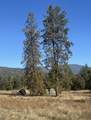 2795 State Highway 49 - Photo 14