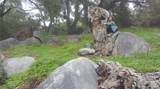38386 Rock Creek Cir - Photo 18