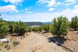 27 Via Escalon - Photo 12