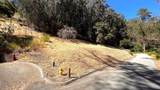 0 Lupine Lane - Photo 21