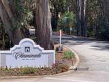 0 Lupine Lane - Photo 5