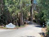 0 Lupine Lane - Photo 6