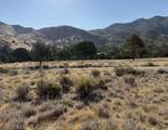 6601 Big Springs Road - Photo 6