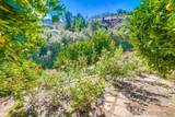 15731 Pauma Valley Dr. - Photo 59