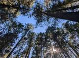 16135 Bottle Rock Rd. - Photo 14
