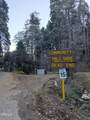 0 Fleming Creek - Photo 14