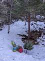 0 Fleming Creek - Photo 6
