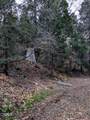 0 Fleming Creek - Photo 7
